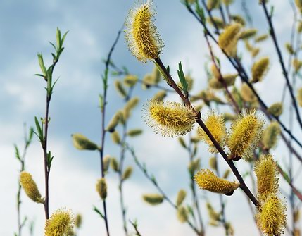 și iată... toate erau foarte bune