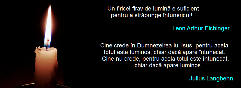 cugetări: Leon Arthur Eichinger, Julius Langbehn