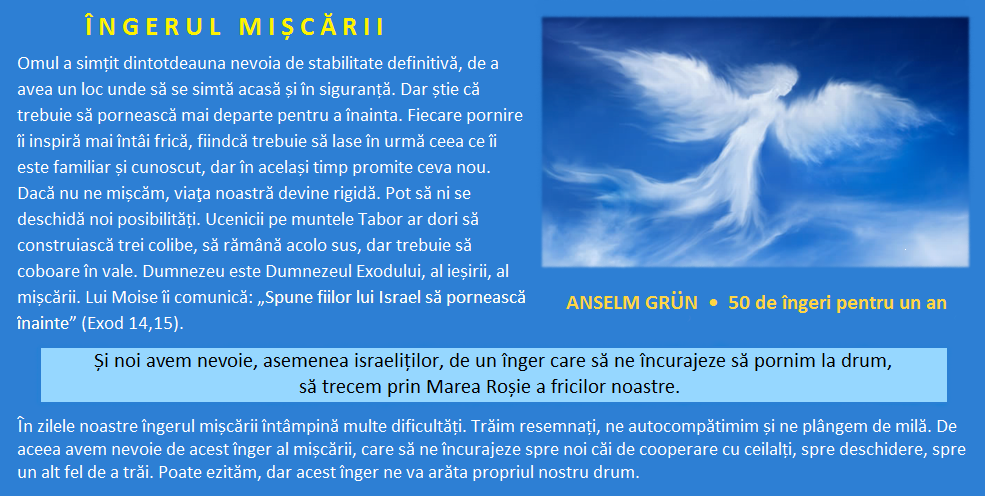 cugetări: Anselm Grün